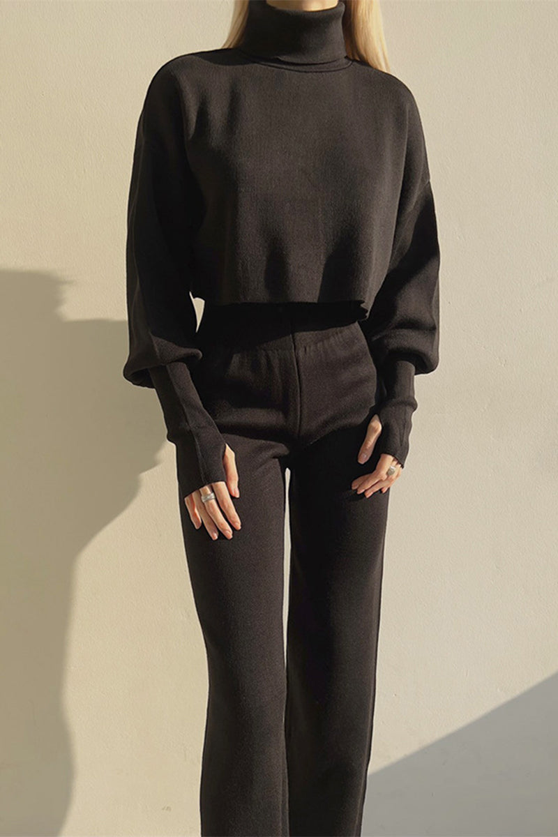 Casual Solid Solid Color Turtleneck Long Sleeve Two Pieces Black