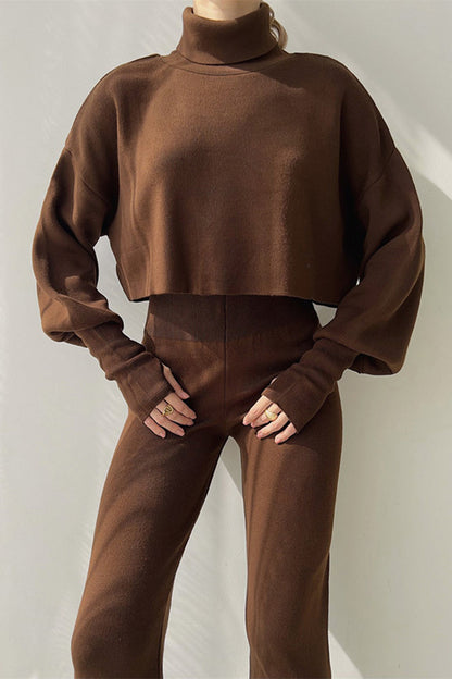 Casual Solid Solid Color Turtleneck Long Sleeve Two Pieces Brown