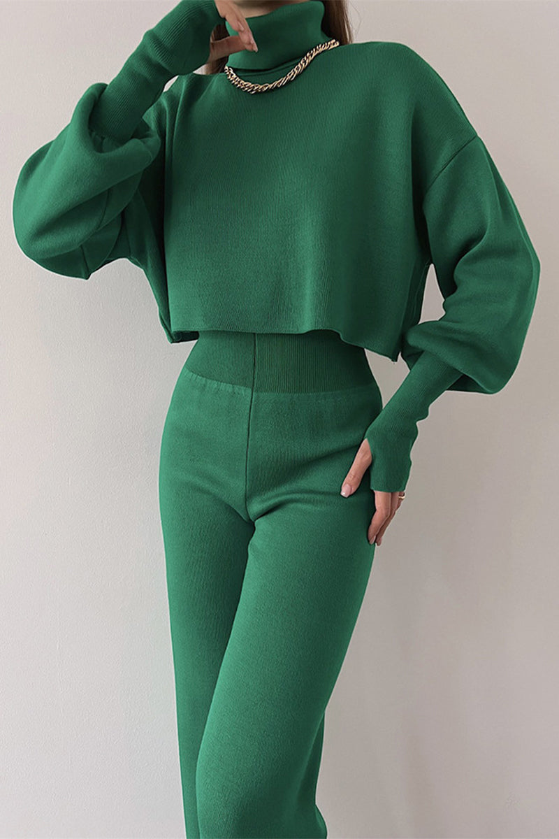 Casual Solid Solid Color Turtleneck Long Sleeve Two Pieces Green