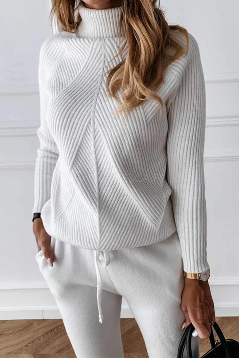 Casual Solid Solid Color Turtleneck Long Sleeve Two Pieces(9 Colors)