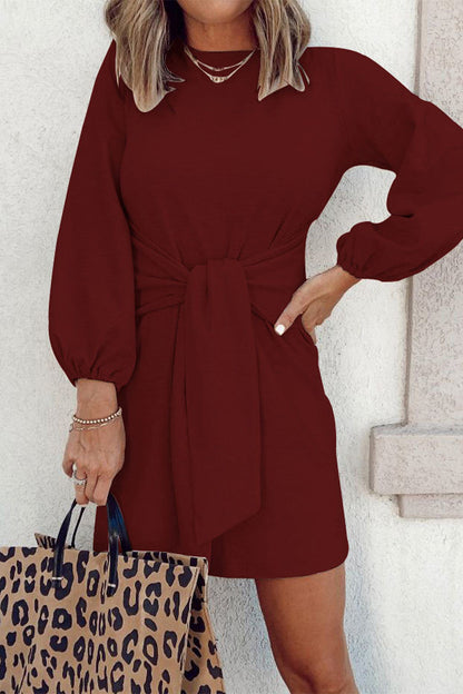 Casual Simplicity Solid O Neck Long Sleeve Dresses Purplish Red