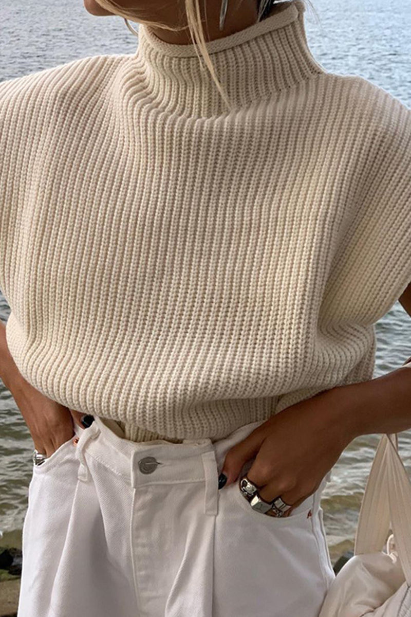 Casual Solid Turtleneck Tops