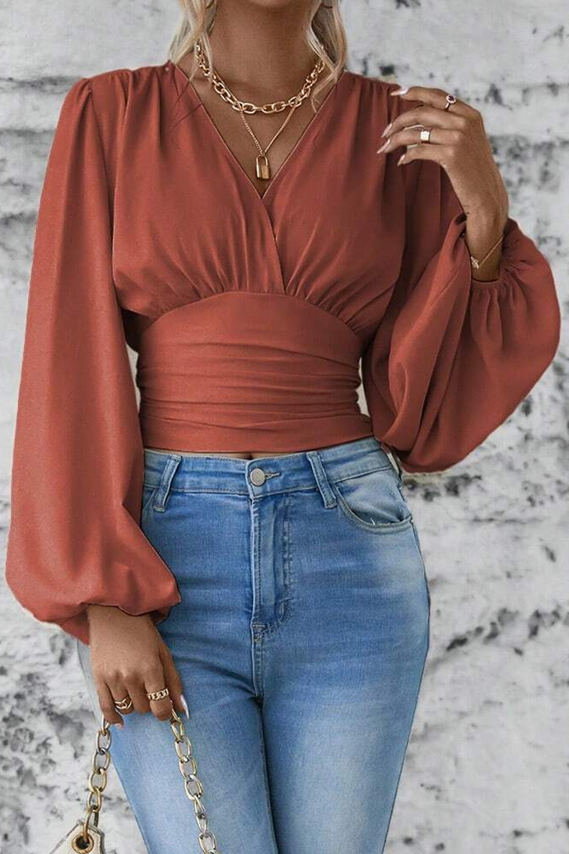 Daily Elegant Solid Color Ruched V Neck Tops(6 Colors) Brick Red