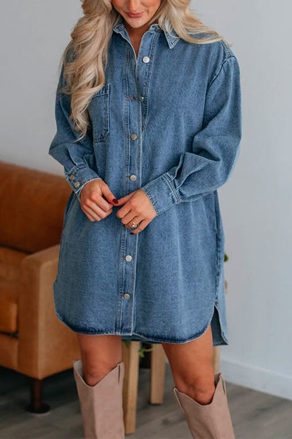 Margovil Curve Hem Button Down Denim Shirt Dress