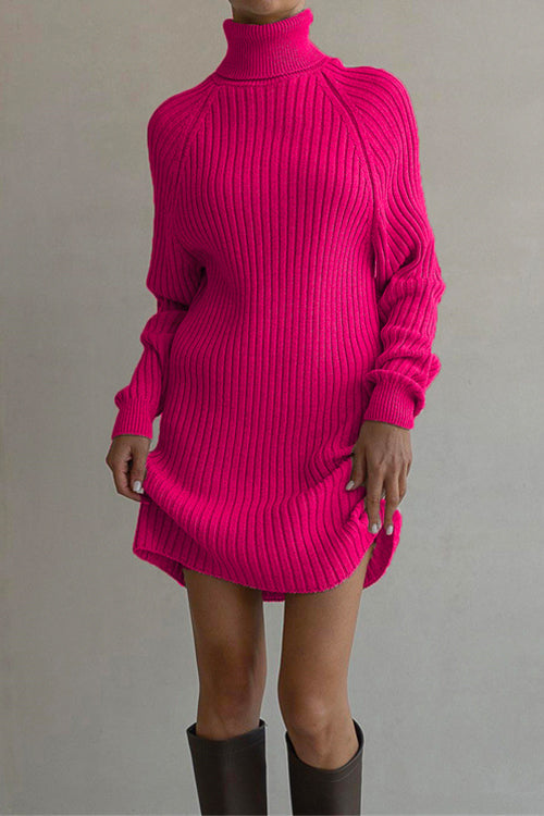 Margovil Turtleneck Raglan Sleeves Ribbed Knit Mini Sweater Dress