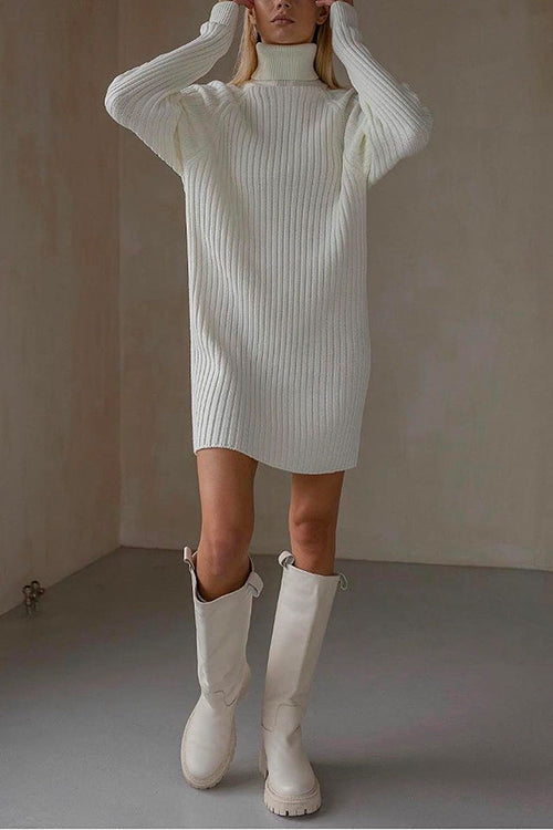 Margovil Turtleneck Raglan Sleeves Ribbed Knit Mini Sweater Dress