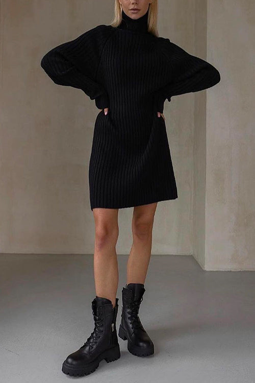 Margovil Turtleneck Raglan Sleeves Ribbed Knit Mini Sweater Dress